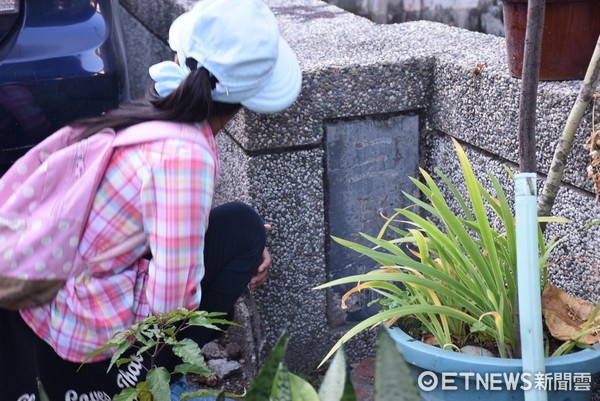 花蓮市公所「回藍•海是生活節」系列活動之一，「都市河流帶路旅行」沿著市區隱藏版的小小河流，穿梭在巷弄與熱鬧街道。（圖／花蓮市公所提供）