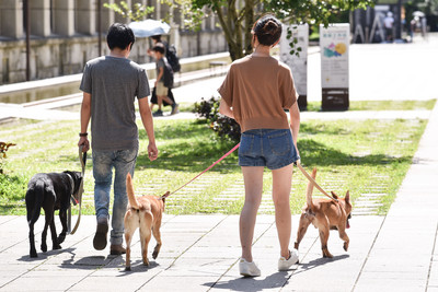 讓毛孩善終！議員籲設寵物專用焚化爐　北市府允研議