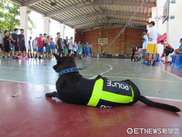 ‪台東知友盃籃球賽，警犬國農、黑妞任親善大使萌翻全場‬。（圖／台東縣警察局提供）