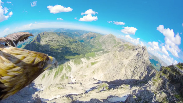 ▲▼用老鷹視角一覽阿爾卑斯山風景（圖／翻攝自RedBull粉絲專頁。）