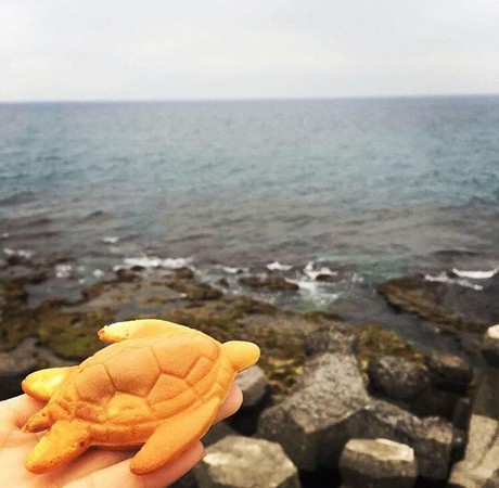 ▲小琉球 海龜燒 Sea turtle pancake。（圖／IG@wujanejane提供，請勿任意翻攝以免侵權）