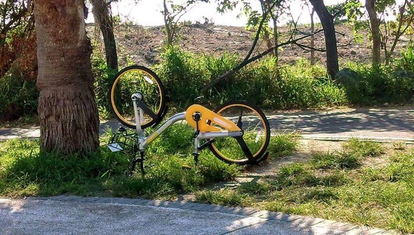 ▲▼oBike亂象。（圖／網友提供，請勿翻拍，以免侵權）