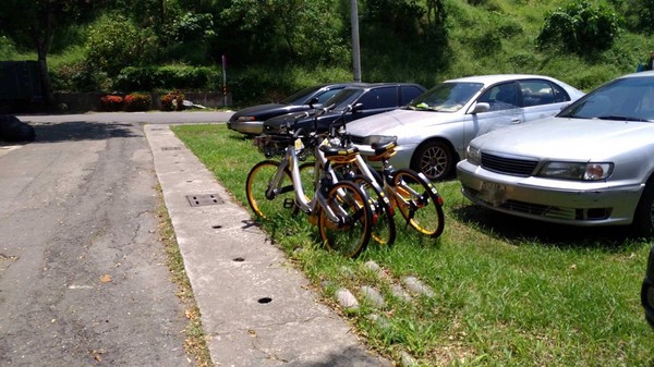 ▲▼oBike亂象。（圖／網友提供，請勿翻拍，以免侵權）