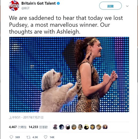 ▲▼英國神犬帕西（Pudsey）和牠的主人艾雪莉（Ashleigh Butler）在知名的選秀節目《英國達人秀》中搭檔演出「人狗共舞」。（圖／翻攝自《英國達人秀》官方Twitter）