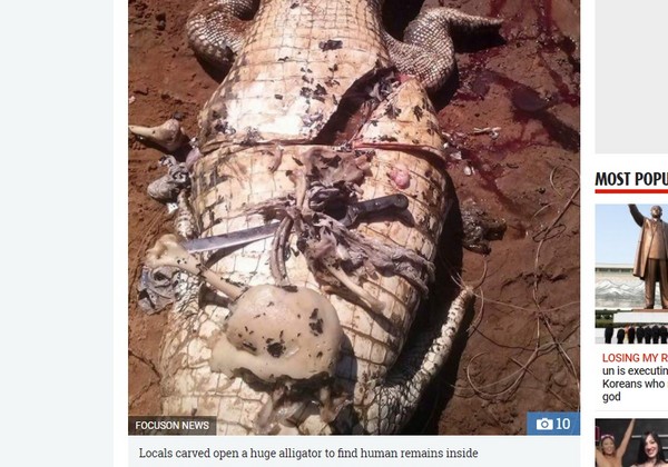 ▲巴西農夫被鱷魚吞下肚。（圖／翻攝自太陽報）