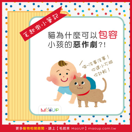 貓貓為什麼可以包容小孩子的惡作劇？（圖／毛起來 MaoUp）