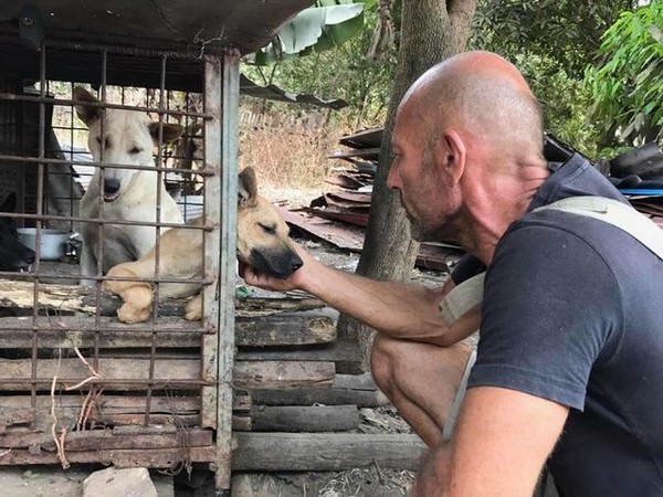 ▲▼13年來致力動物救援　說服狗肉餐廳歇業救出無辜狗兒。（圖／取自：Michael Chour／The Dodo）