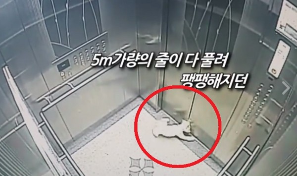 ▲韓國瑪爾濟斯受困電梯。（圖／翻攝自경찰청(폴인러브)）