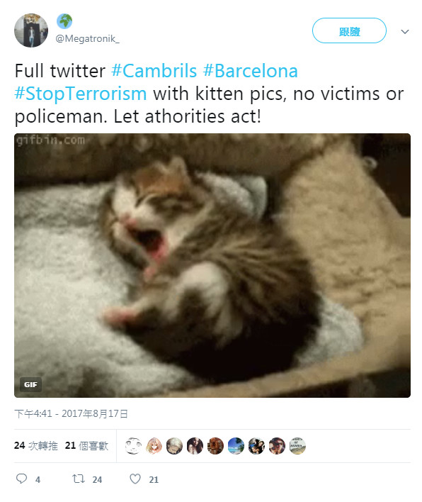 恐攻后推特涌入大量萌猫照?西班牙人:让我想起