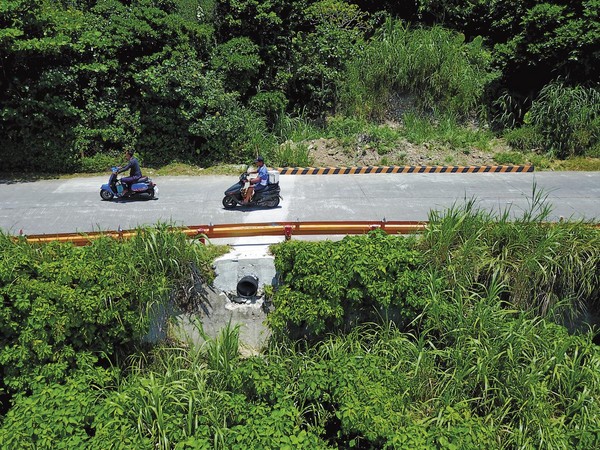 護蟹廊道懸空地面數公尺，倘若陸蟹行走，恐將面臨摔死命運。