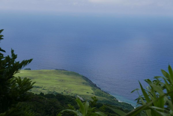 登高山後可望見青青草原。