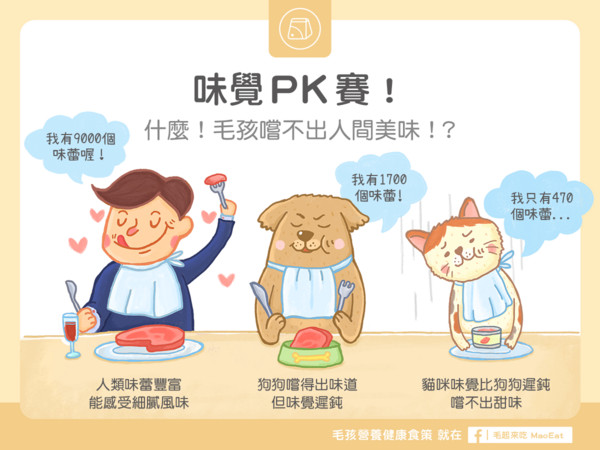 味覺PK賽!什麼?毛孩嚐不出人間美味!?(圖/毛起來 MaoUp)