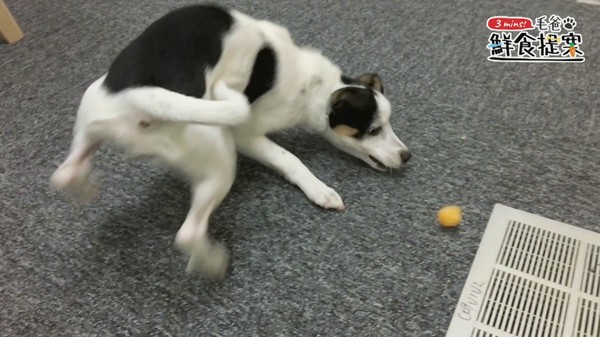 沁涼整個繽紛夏天～俄羅斯水果冰盤（圖／毛起來 MaoUp）