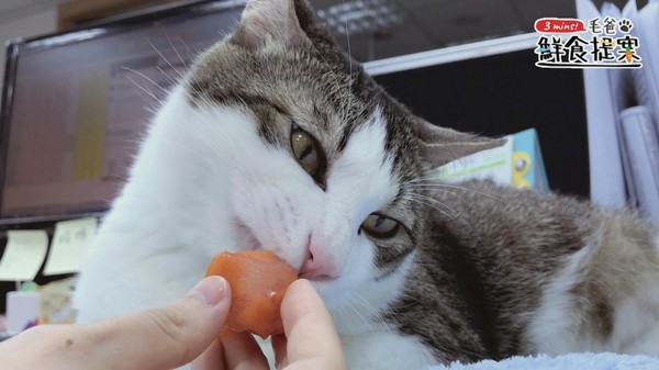 沁涼整個繽紛夏天～俄羅斯水果冰盤（圖／毛起來 MaoUp）