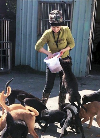 在八里動物之家當義工，林珍奇汗流浹背照顧沒家的狗狗。