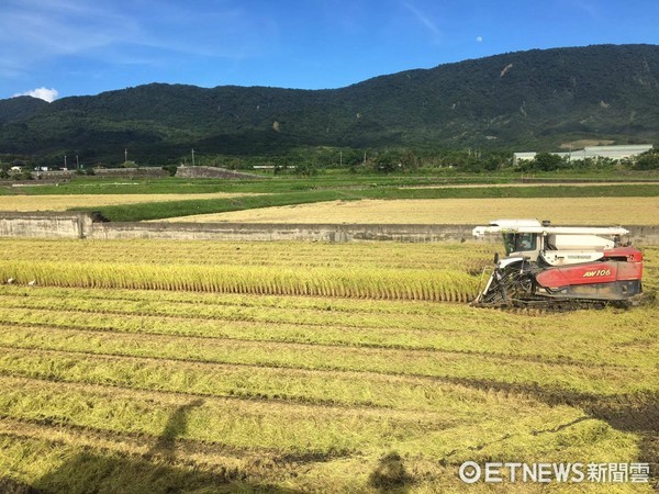 ‪花蓮台灣觀光學院畢業生李永善回鄉務農，和父親參加池上鄉稻米品質競賽，首次參賽奪得有機組米王，榮獲池上米王頭銜。（圖／台灣觀光學院提供）