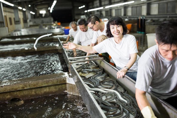 郭瓊英本身就是選鰻師，練就1秒目視重量、抓魚分類的真功夫。