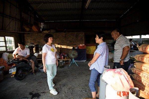 鰻魚只在清晨進食，郭瓊英(左2)一大早就到鹿港拜訪鰻魚農，雙方閒話家常。