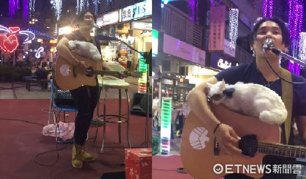 街頭藝人和吉他上的貓咪聽眾。（圖／陳昭祺 KivChen粉絲專頁提供。）
