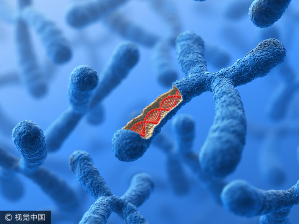 ▲▼染色體，DNA，基因，細胞。（圖／CFP）