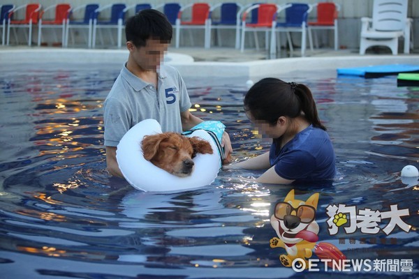 狗老大身障毛孩招待游泳鮮食。（圖／狗老大寵物渡假會館提供）