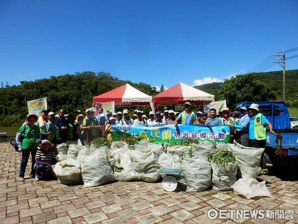 ‪台東林管處舉辦「蔓蔓來 快快除-106年度小花蔓澤蘭防治宣導活動」，邀請大武鄉公所及鄰近社區居民一起清除綠癌‬。（圖／台東林管處提供）