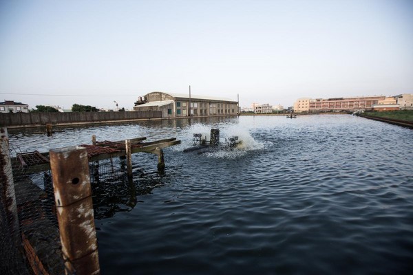 鹿港鰻魚養殖廠，利用水車運轉增加水中含氧量。
