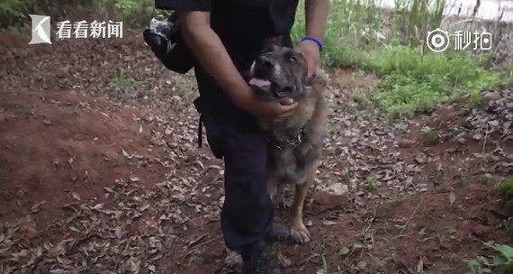 ▲不忍退休警犬受苦...民警創養老院　「我的家人自己養」。（圖／翻攝自秒拍）