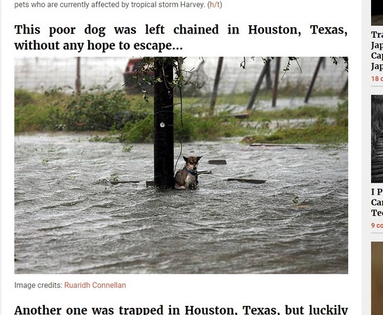 （圖／翻攝自「boredpanda」）