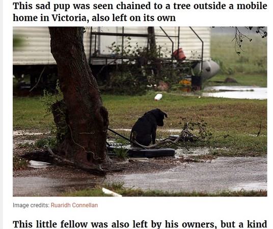 （圖／翻攝自「boredpanda」）