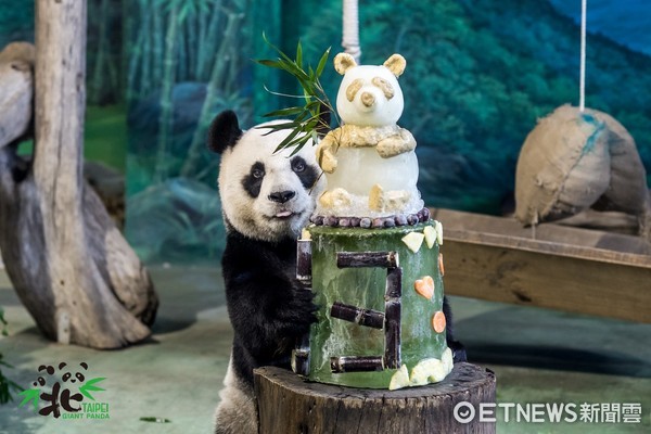 大熊貓團團、圓圓歡慶13歲生日。（圖／翻攝自臺北市立動物園官網。）