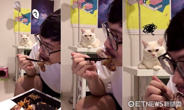 小冰作客爽啃雞腿　背後有貓怨念很重：竟然自己吃光...（圖／拉姆有幾噗授權提供）