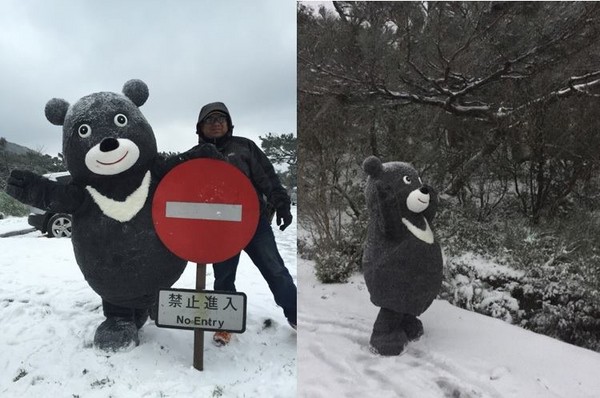 ▲▼熊讚活動照。（圖／台北市政府提供）