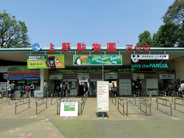 暑假結束=年輕人自殺高峰期，上野動物園：來找動物取暖吧！（圖／翻攝自網路）