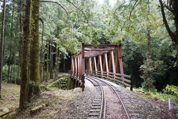 ▲阿里山森鐵郵輪列車，10月起走訪未開放營運的水山支線。（圖／台鐵提供）