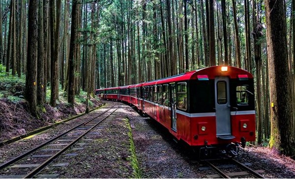 ▲阿里山森鐵郵輪列車，10月起走訪未開放營運的水山支線。（圖／台鐵提供）