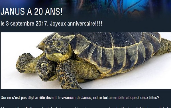 ▲▼「雙頭烏龜」杰納斯3日為牠的20歲生日。（圖／翻攝自瑞士日內瓦自然歷史博物館官網）