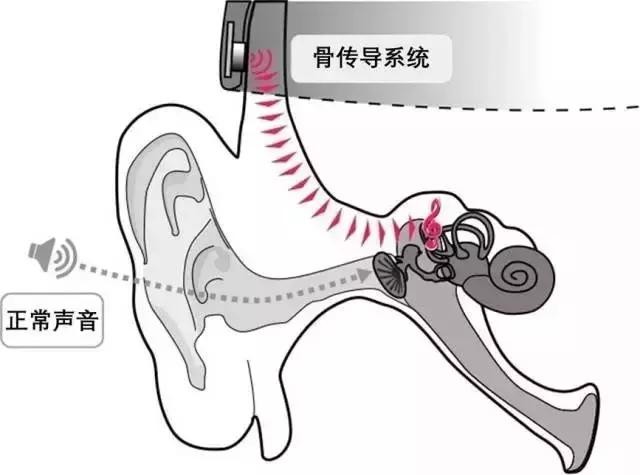 能接打電話的「智慧型潮帽」　按一下帽緣還能聽音樂（圖／翻攝自網路）