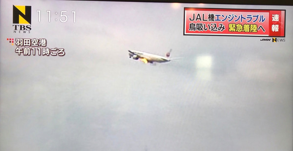 日本波音777班機起飛後遭鳥襲　左機翼起火迫降回機場。（圖／翻攝自推特@shogo__0428，JNN畫面）