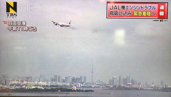 日本波音777班機起飛後遭鳥襲　左機翼起火迫降回機場。（圖／翻攝自推特@shogo__0428，JNN畫面）