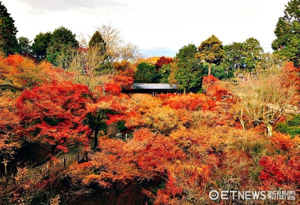 ▲▼京都東福寺。（圖／記者蔡玟君攝）