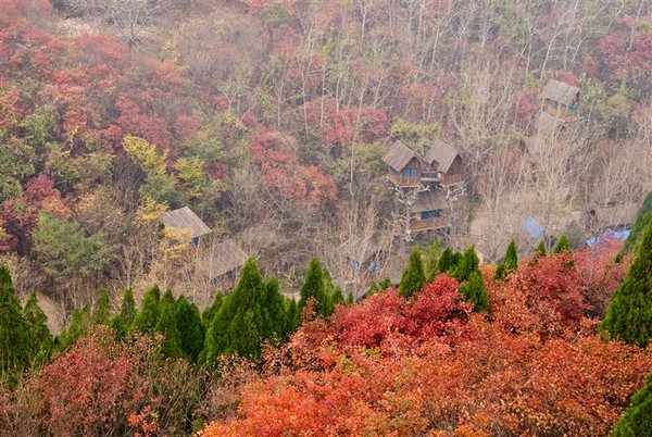 ▲大陸山東。（圖／喜鴻假期、shutterstock.com）