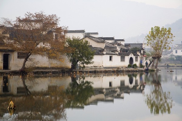 ▲舌尖上的中國之秋，吃貨首選大閘蟹吃到飽，再賞季節美景。（圖／shutterstock.com）