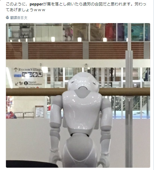 Pepper機器人過勞死還拍「棺材照」　網笑：日本企業太可怕（圖／翻攝自推特@arintyu34）