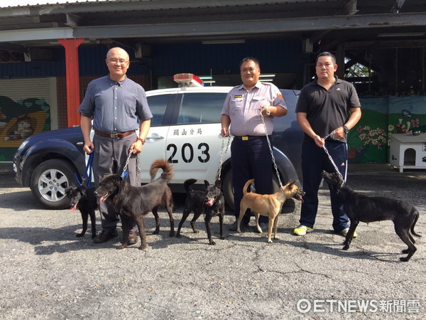 台東警察局收養許多浪浪，搖身變成警戒犬。（圖／取自台東縣政府，下同）