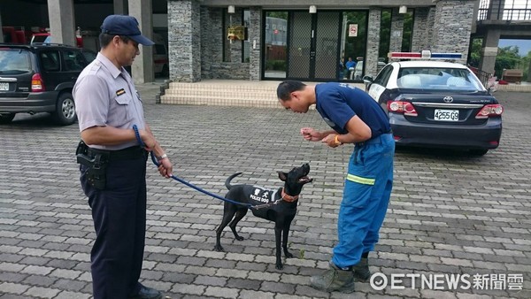 台東警察局收養許多浪浪，搖身變成警戒犬。（圖／取自台東縣政府，下同）