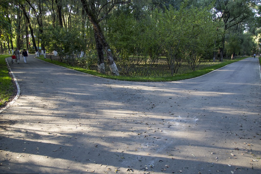 公園約會「遭移民輪暴」　19歲女揭恐怖過程！副總理：應化學閹割