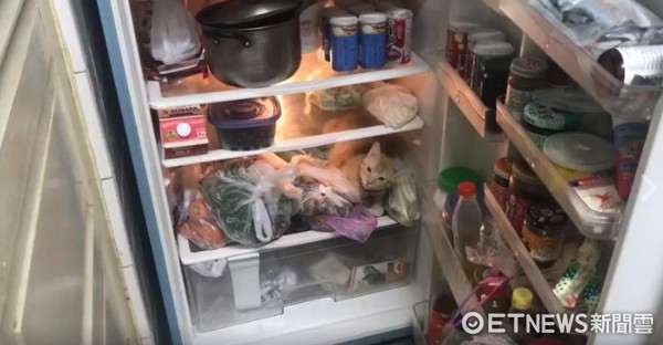 ▲橘貓mumu超愛躲進去冰箱睡覺。（圖／網友黃小牧提供，請勿隨意翻拍，以免侵權。）