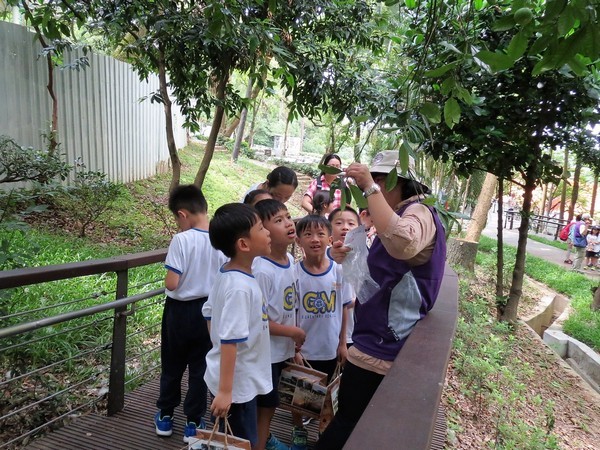 ▲桃園區虎頭山公園是環保局的十大環境教育場所之一。（圖／環保局提供） 