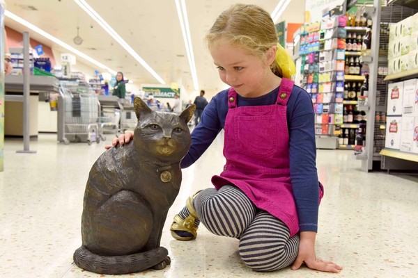 這裡永遠是你的家！「超市貓」病逝　粉絲募款立雕塑紀念（圖／翻攝自Brutus 